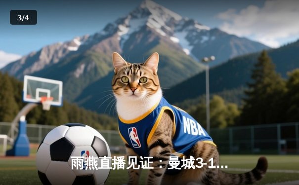 雨燕直播见证：曼城3-1逆转曼联，哈兰德双响锁定胜局 - 3